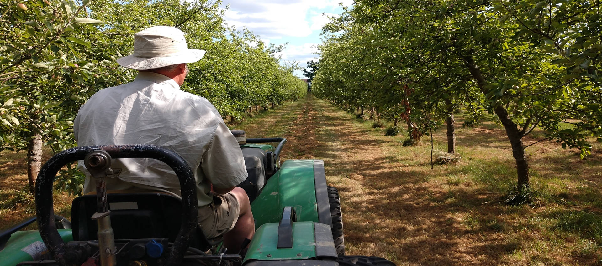 organic-cider-1920.jpg